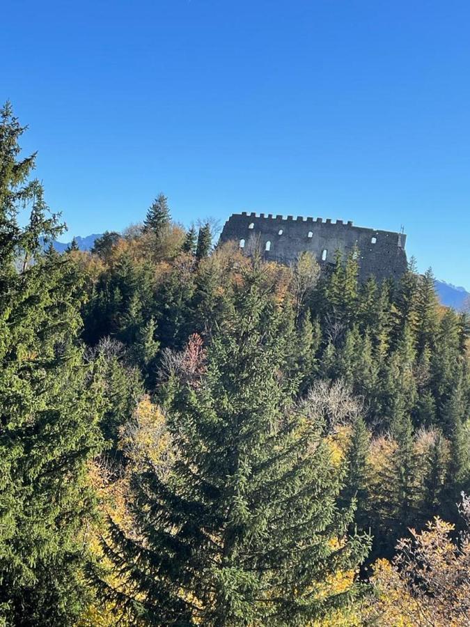 FEWO Blick Falkenstein Pfronten Exterior foto